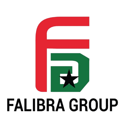 Falibra Group Guinea - Construction and Digitalization Company Logo Conakry