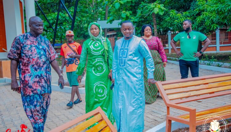 Waterfall Restoration