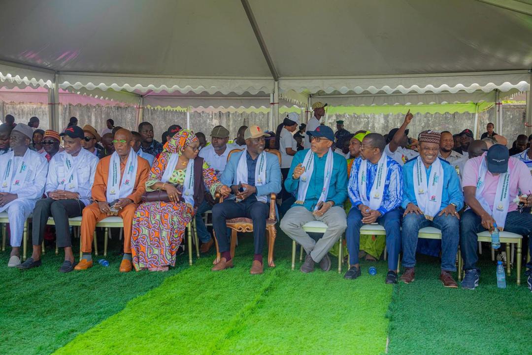 Latest Activity 2 - Image 7